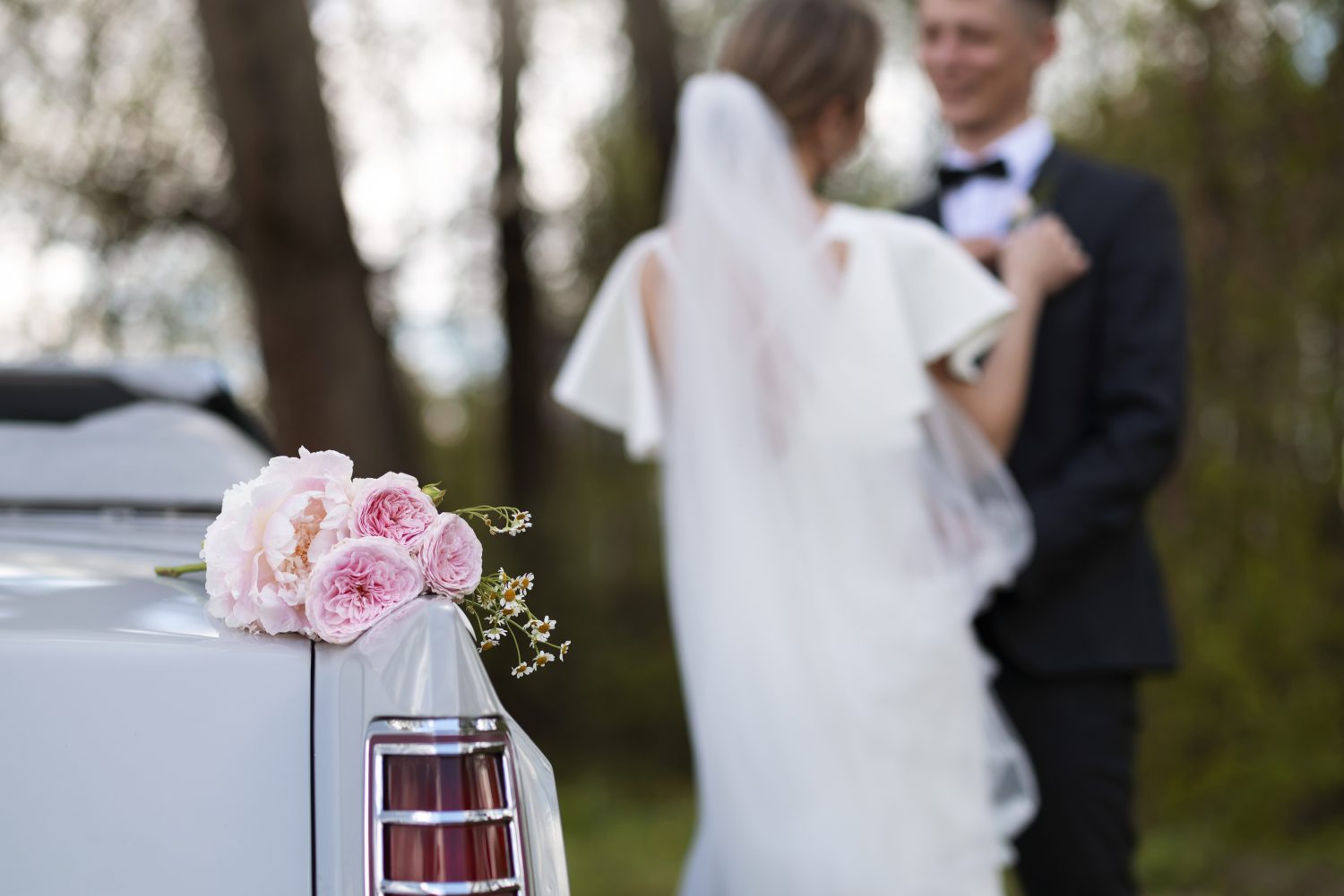 Fotomatón y videomatón 360 alquiler bodas Barbastro Fotomatón y videomatón 360 alquiler bodas Barbastro